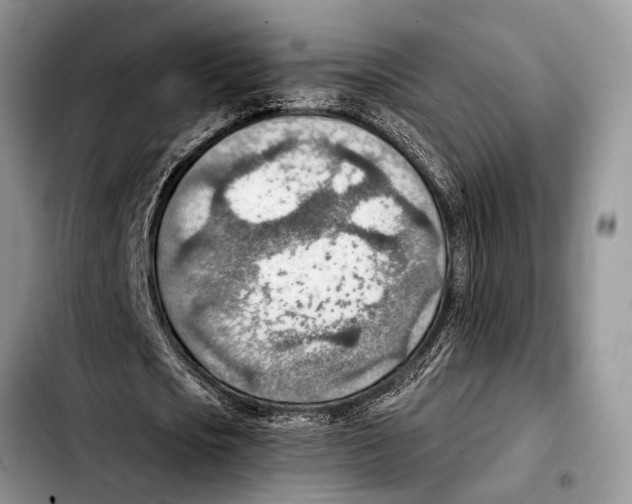 X0000103410721200810100955