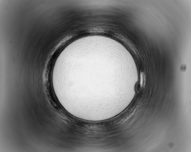 X0000103410723200810100955