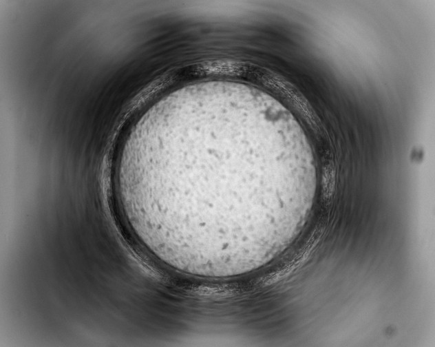 X0000103410725200810100955