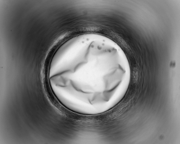 X0000103410726200810100955