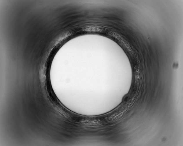 X0000103410727200810100955