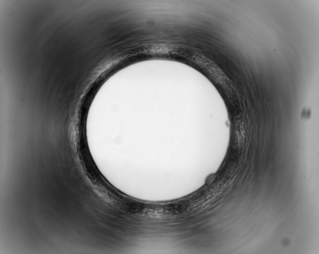 X0000103410728200810100955