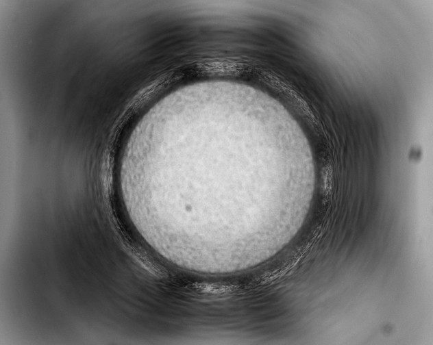 X0000103410733200810100956