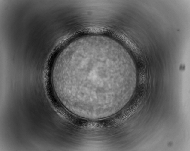 X0000103410736200810100956