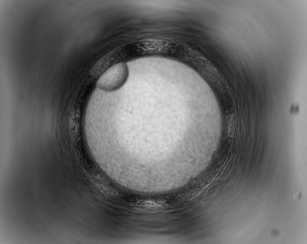 X0000103410737200810100956