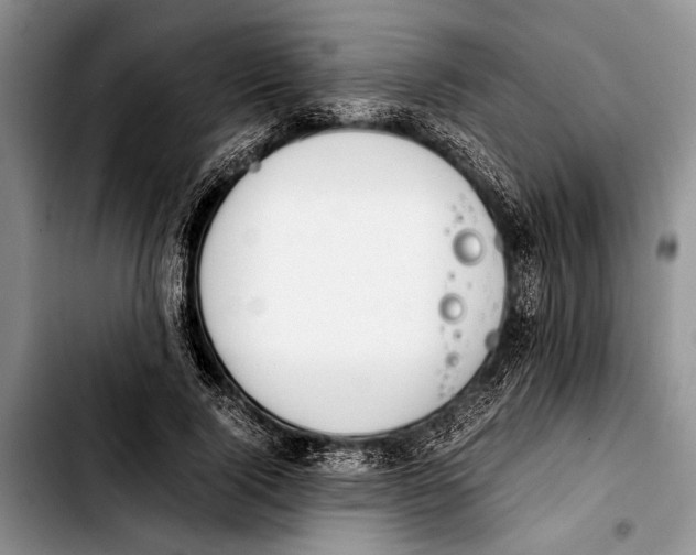 X0000103410740200810100956