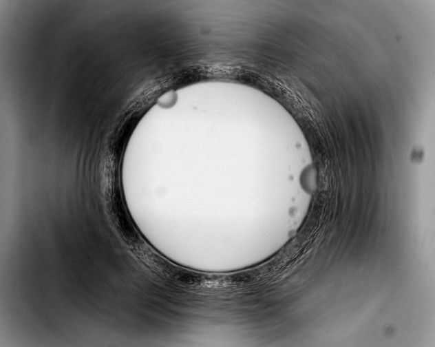 X0000103410744200810100956