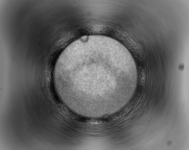 X0000103410746200810100956