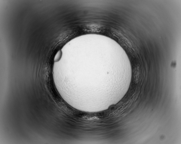 X0000103410747200810100956