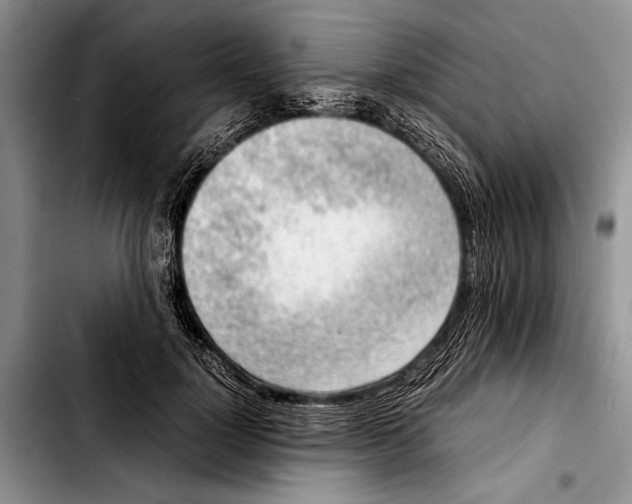 X0000103410748200810100956