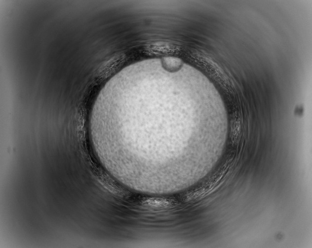 X0000103410749200810100956