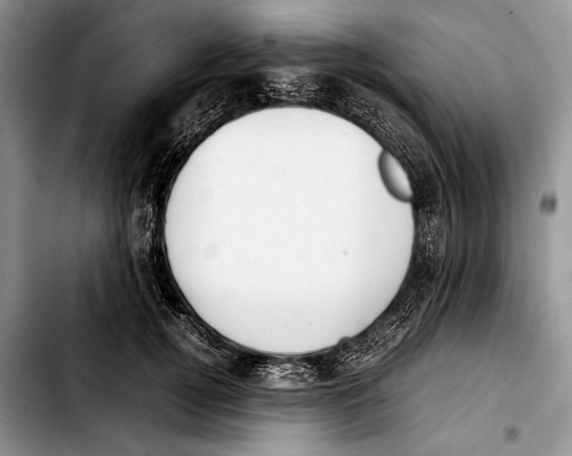 X0000103410752200810100956