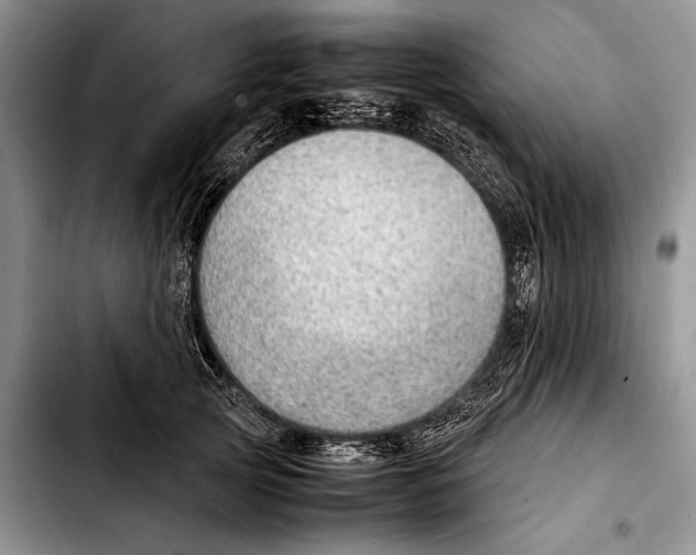 X0000103410753200810100956