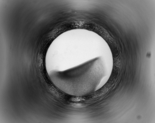 X0000103410754200810100956