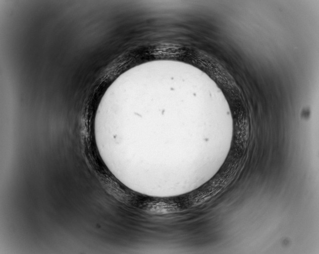 X0000103410755200810100956