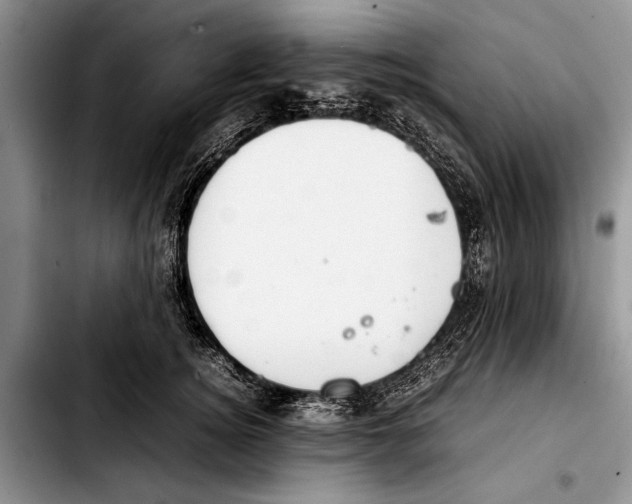 X0000103410756200810100956