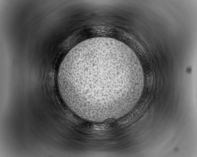 X0000103410757200810100956