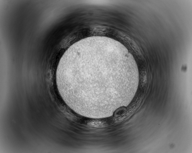 X0000103410759200810100956