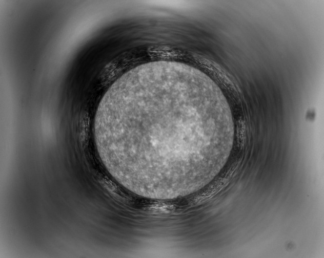 X0000103410760200810100956