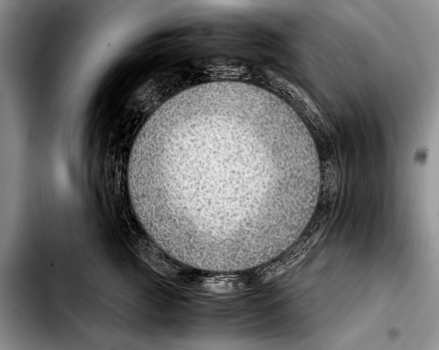 X0000103410761200810100956