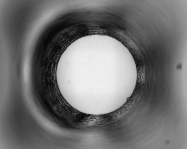 X0000103410764200810100956