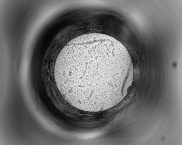 X0000103410765200810100956