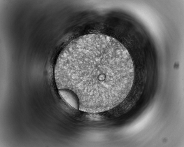 X0000103410767200810100956