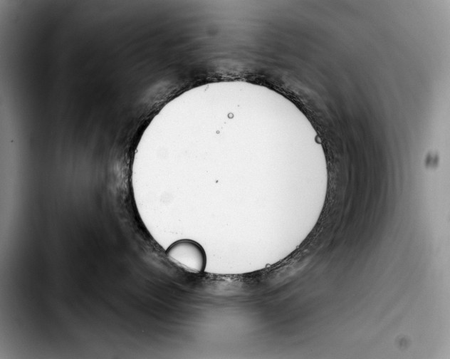 X0000103410768200810100956