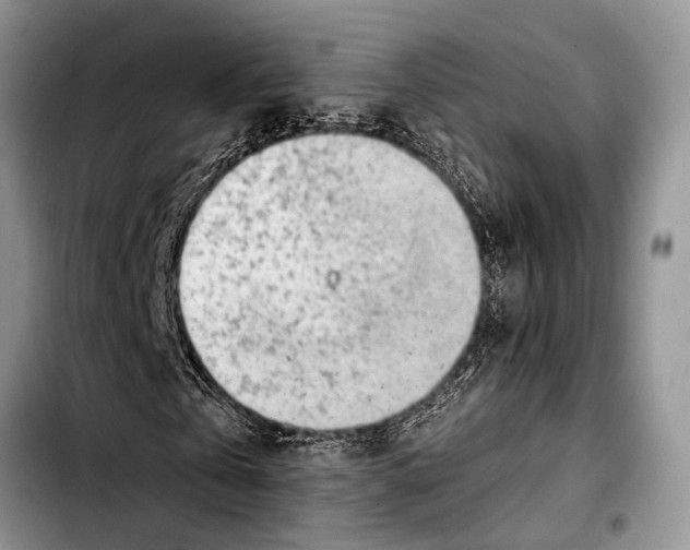 X0000103410769200810100955