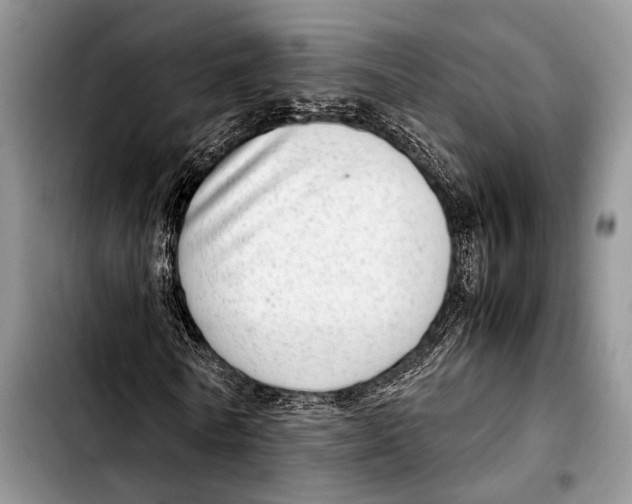 X0000103410770200810100955