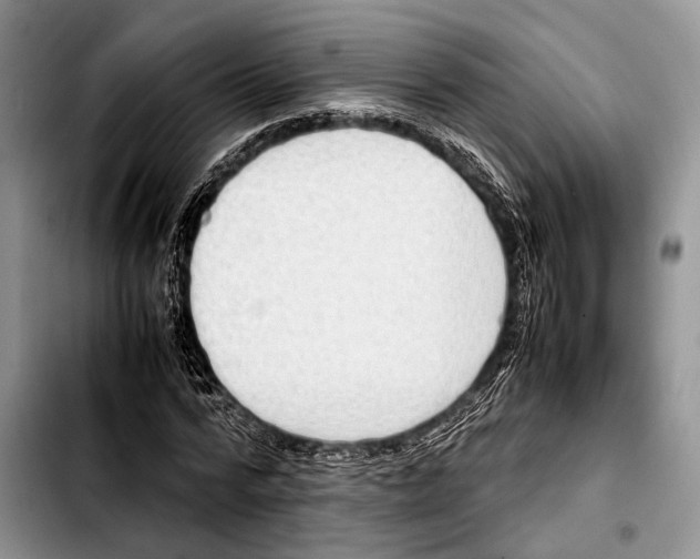 X0000103410776200810100955