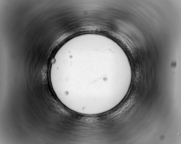 X0000103410778200810100955