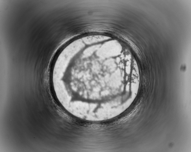 X0000103410779200810100955