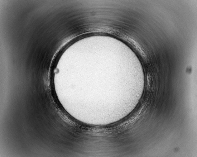 X0000103410780200810100955