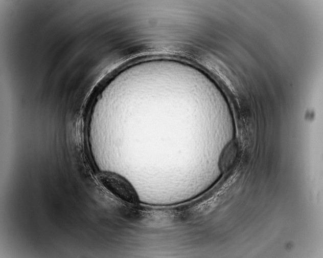 X0000103410781200810100955