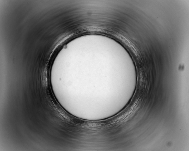 X0000103410782200810100955