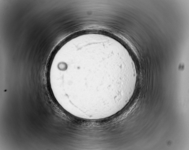 X0000103410783200810100955