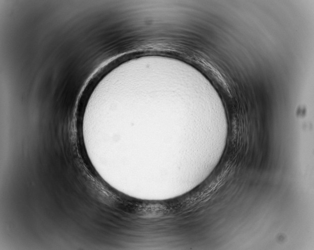 X0000103410784200810100955