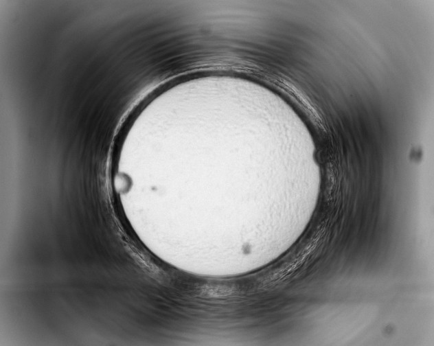 X0000103410788200810100955