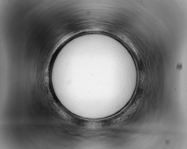 X0000103410789200810100955