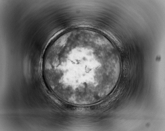 X0000103410790200810100955