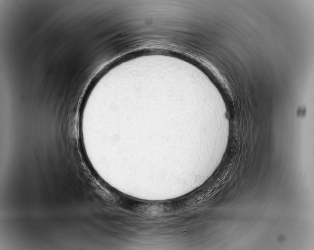 X0000103410791200810100955