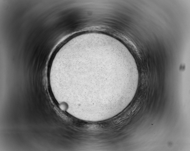 X0000103410792200810100955