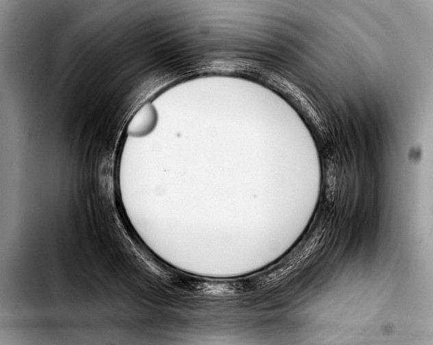 X0000103410794200810100955