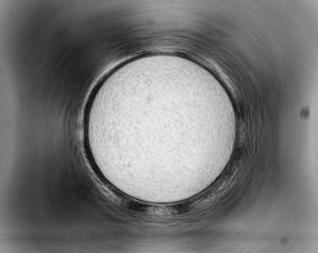 X0000103410795200810100955