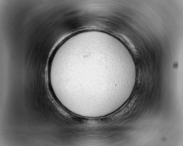 X0000103410796200810100955