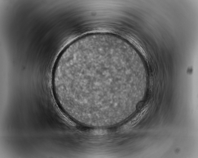 X0000103410797200810100955