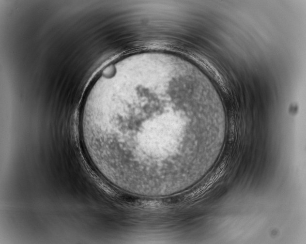 X0000103410798200810100955