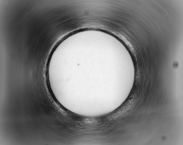 X0000103410799200810100955