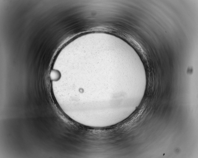 X0000103410800200810100955